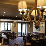 Royal Oak